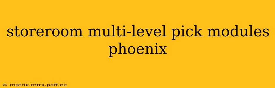 storeroom multi-level pick modules phoenix