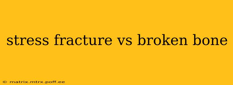 stress fracture vs broken bone
