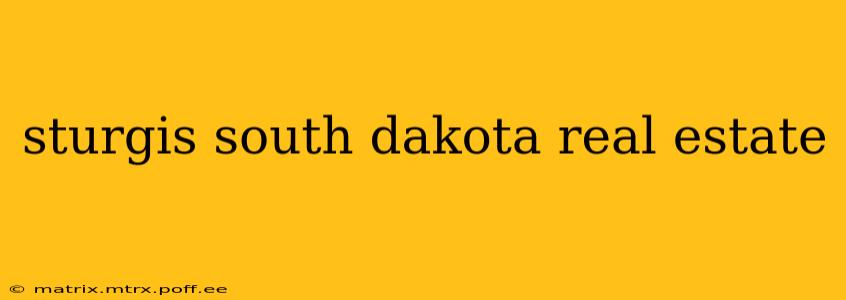 sturgis south dakota real estate