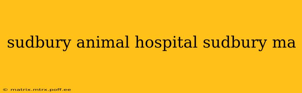 sudbury animal hospital sudbury ma
