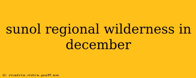 sunol regional wilderness in december