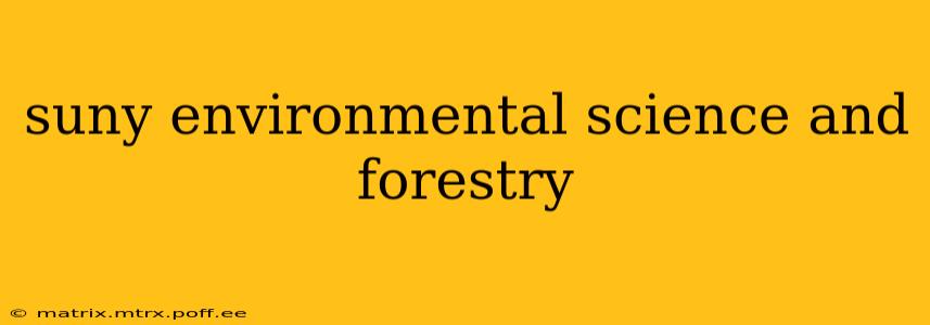 suny environmental science and forestry