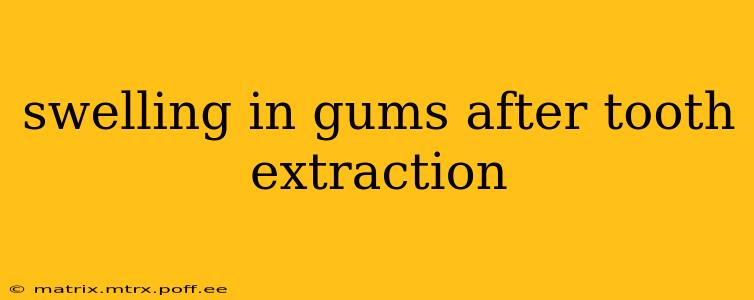 swelling in gums after tooth extraction