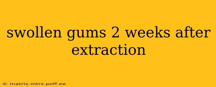 swollen gums 2 weeks after extraction
