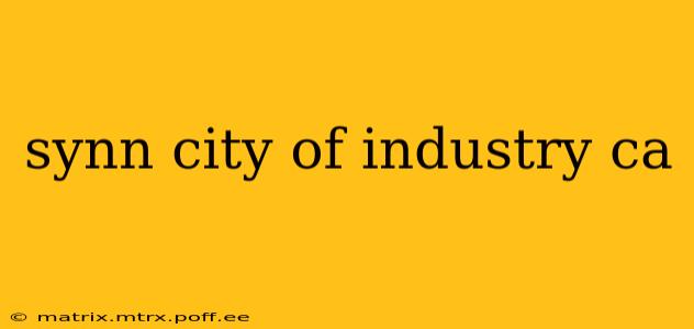 synn city of industry ca