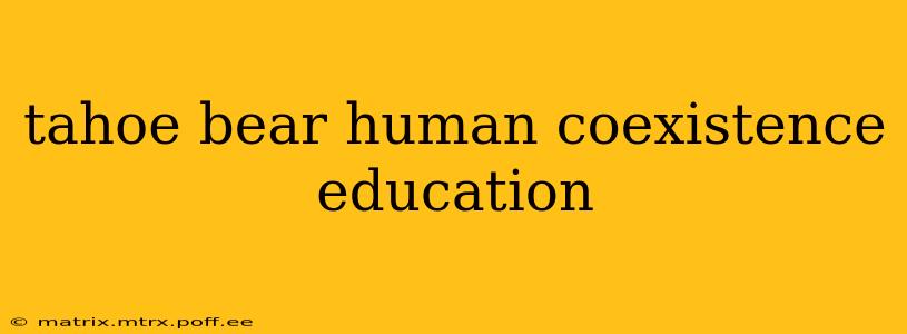 tahoe bear human coexistence education