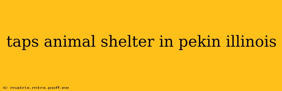 taps animal shelter in pekin illinois
