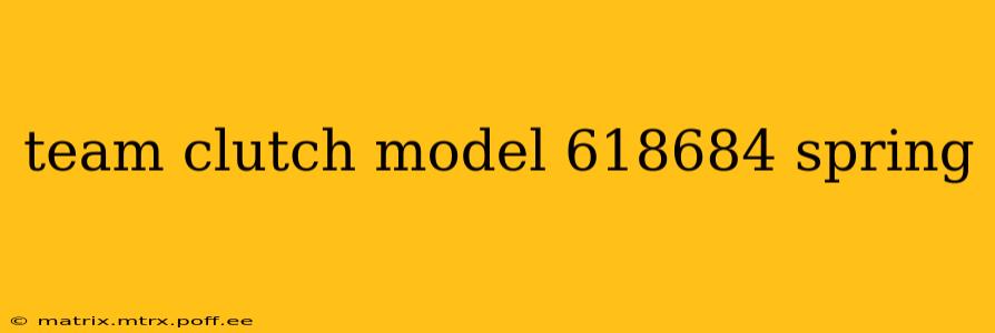 team clutch model 618684 spring