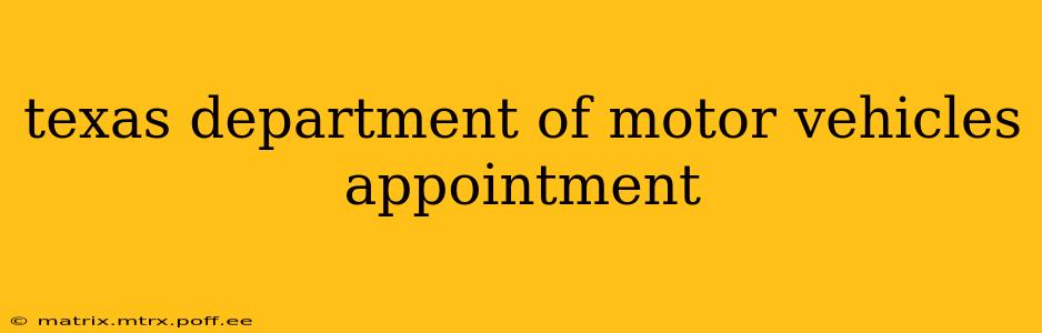 texas department of motor vehicles appointment