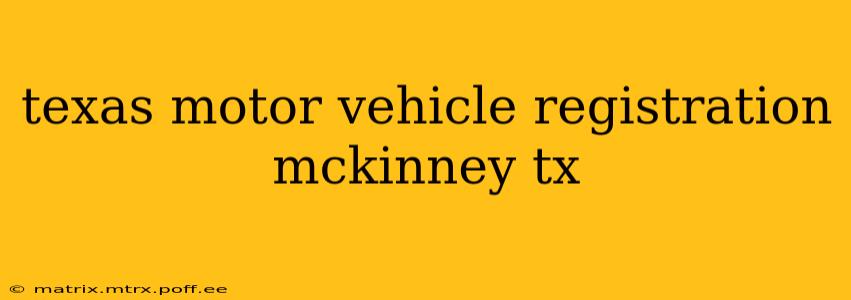 texas motor vehicle registration mckinney tx