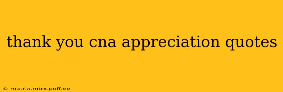 thank you cna appreciation quotes