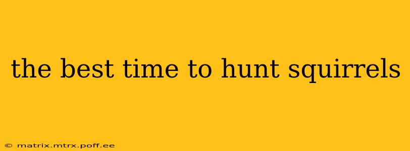 the best time to hunt squirrels