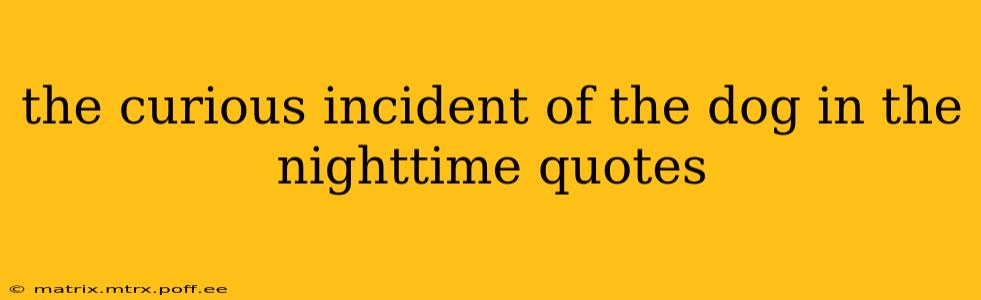 the curious incident of the dog in the nighttime quotes