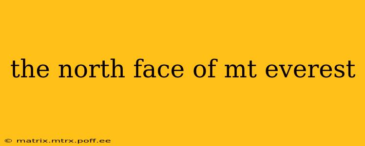 the north face of mt everest