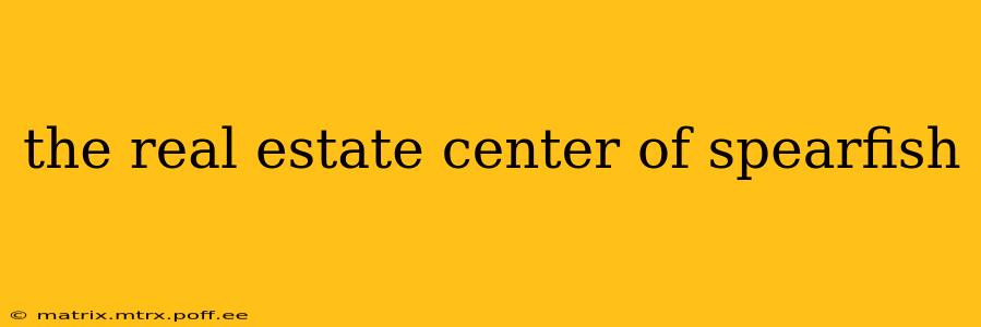 the real estate center of spearfish