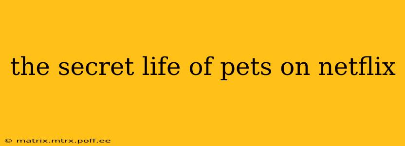 the secret life of pets on netflix