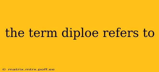 the term diploe refers to