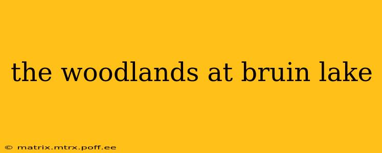 the woodlands at bruin lake