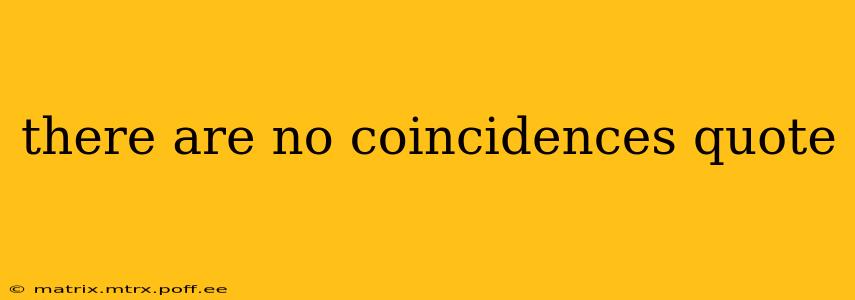 there are no coincidences quote