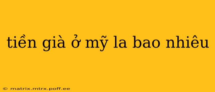 tiền già ở mỹ la bao nhiêu