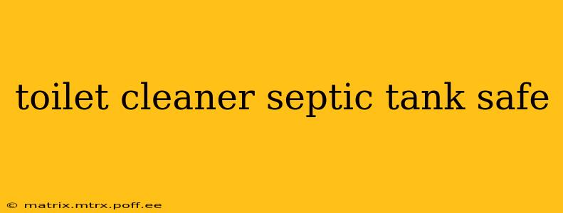 toilet cleaner septic tank safe