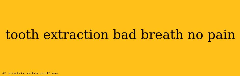 tooth extraction bad breath no pain