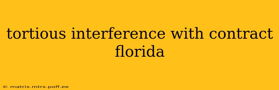tortious interference with contract florida