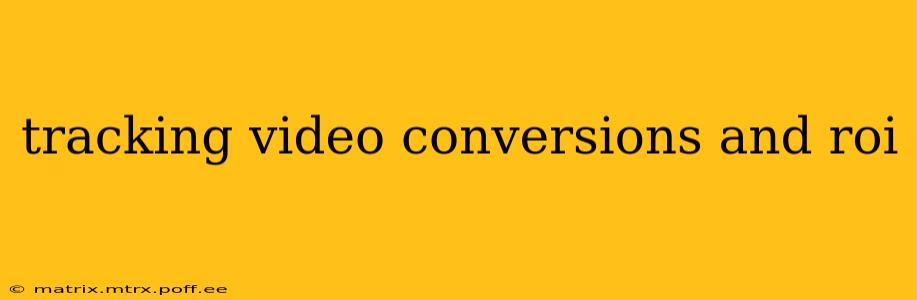 tracking video conversions and roi