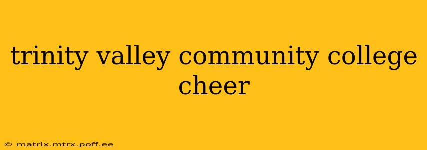 trinity valley community college cheer