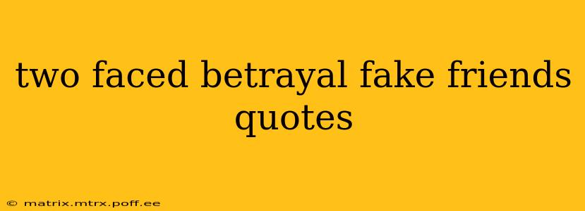 two faced betrayal fake friends quotes