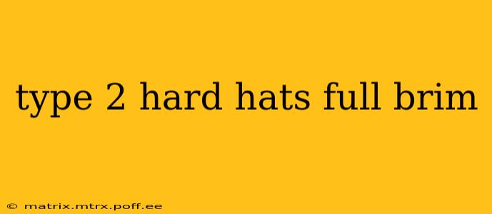 type 2 hard hats full brim