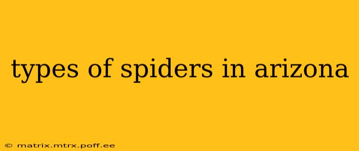 types of spiders in arizona