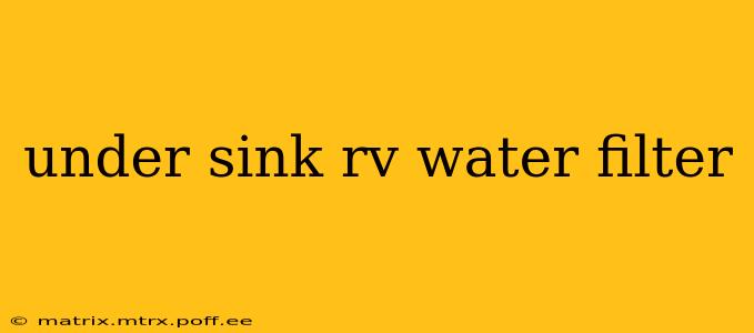 under sink rv water filter