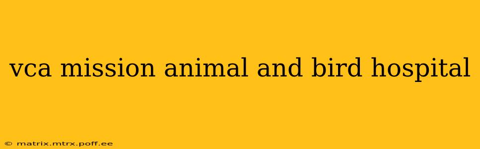 vca mission animal and bird hospital