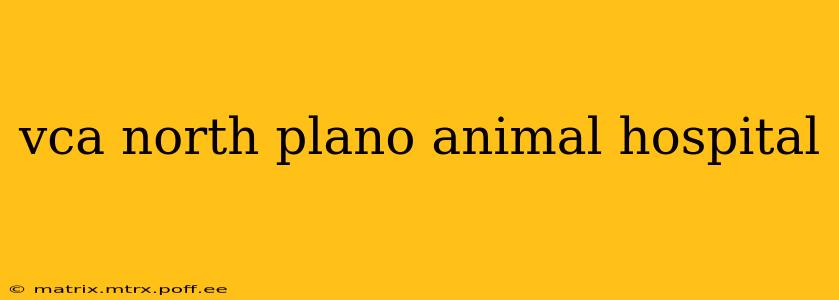 vca north plano animal hospital