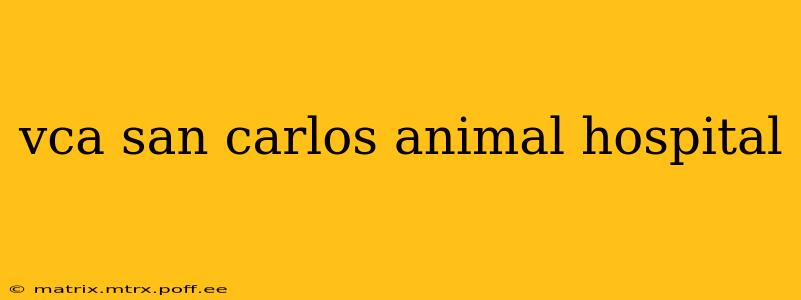 vca san carlos animal hospital