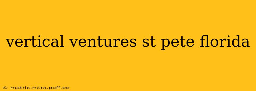 vertical ventures st pete florida