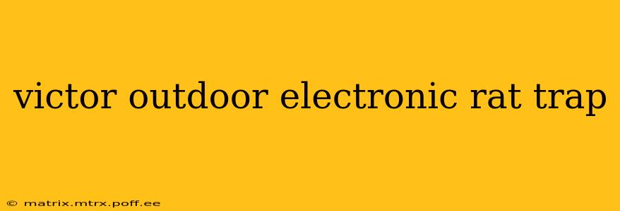 victor outdoor electronic rat trap