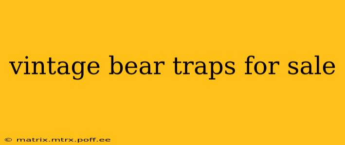 vintage bear traps for sale