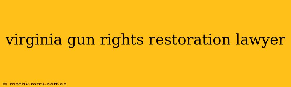 virginia gun rights restoration lawyer