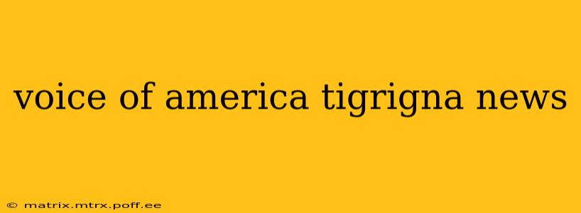 voice of america tigrigna news