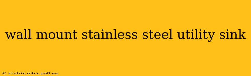 wall mount stainless steel utility sink