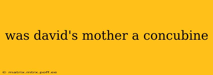 was david's mother a concubine