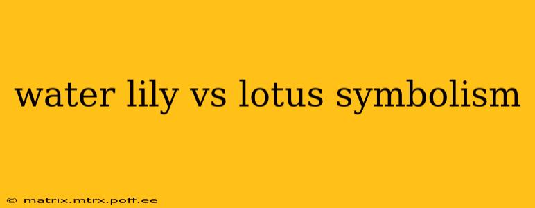 water lily vs lotus symbolism