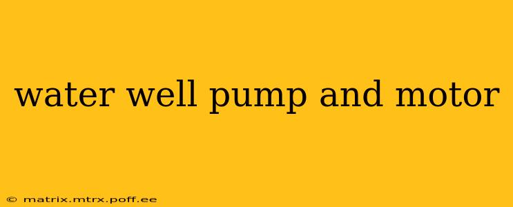 water well pump and motor