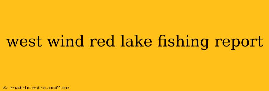 west wind red lake fishing report