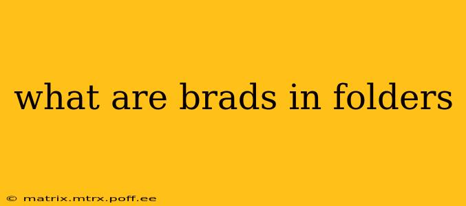 what are brads in folders