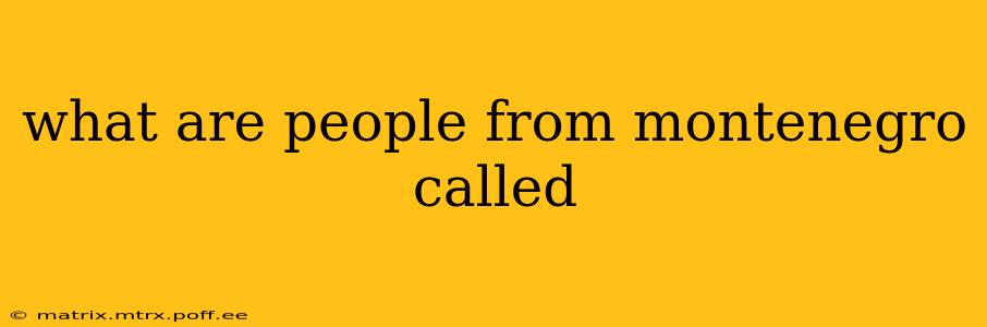 what are people from montenegro called