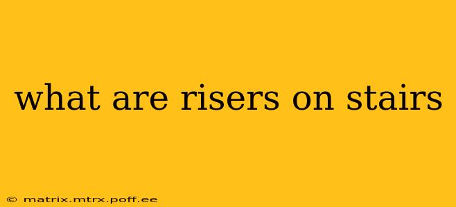 what are risers on stairs