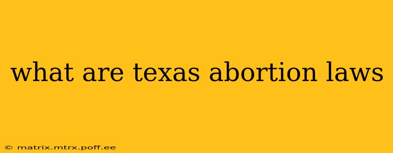 what are texas abortion laws